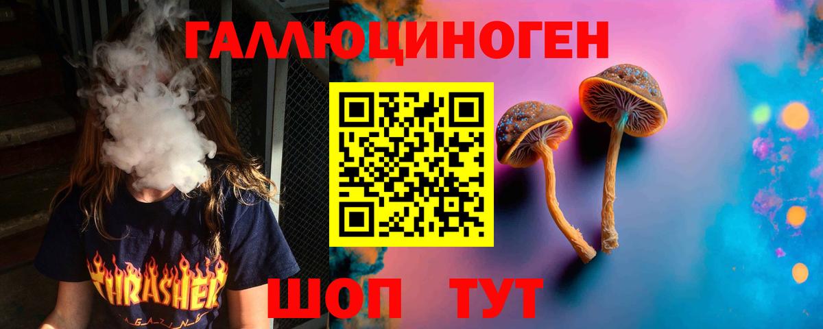 Псилоцибиновые грибы Psilocybe  Вход с VPN  Топки  Галлюциногенные грибы ЛСД 